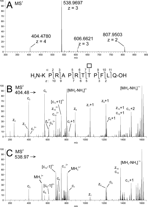 FIGURE 2.