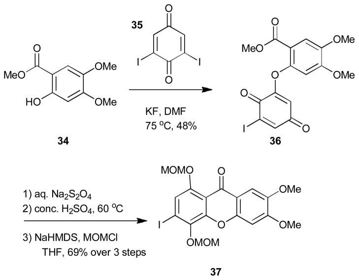 Scheme 4