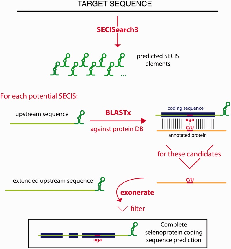 Figure 3.