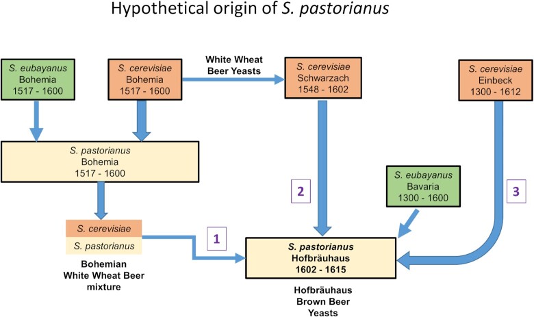 Figure 2.