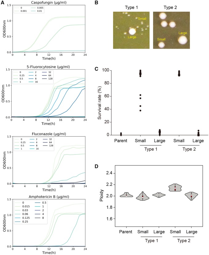 Fig. 2.