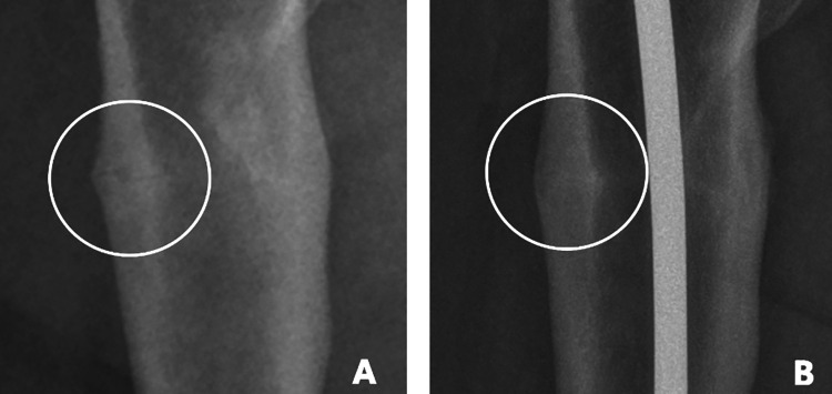 Figure 7.