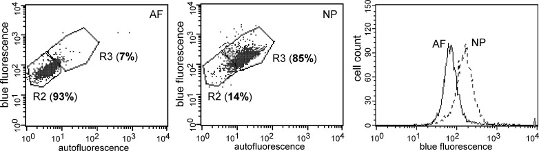 Fig. 2