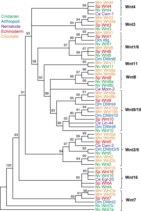 Fig. 2