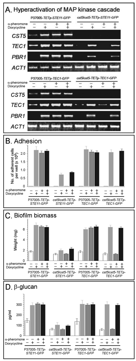 FIG 4 