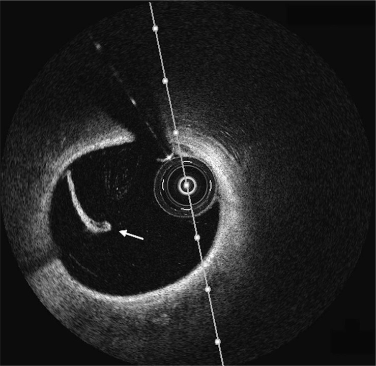 Fig. 5