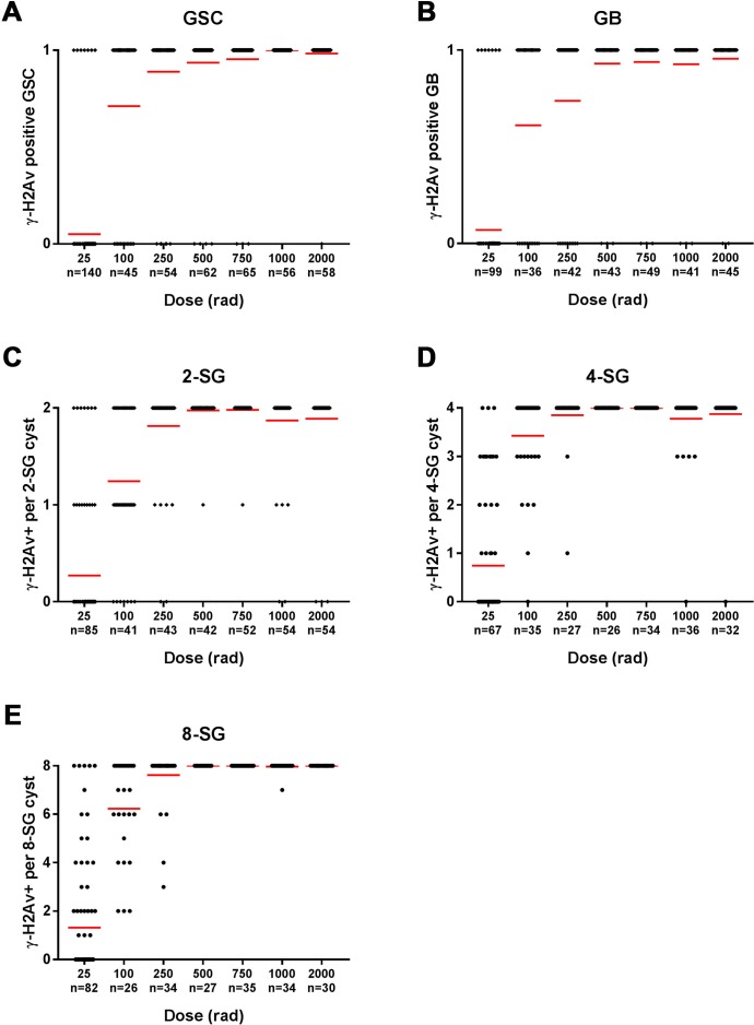 Figure 2—figure supplement 2.