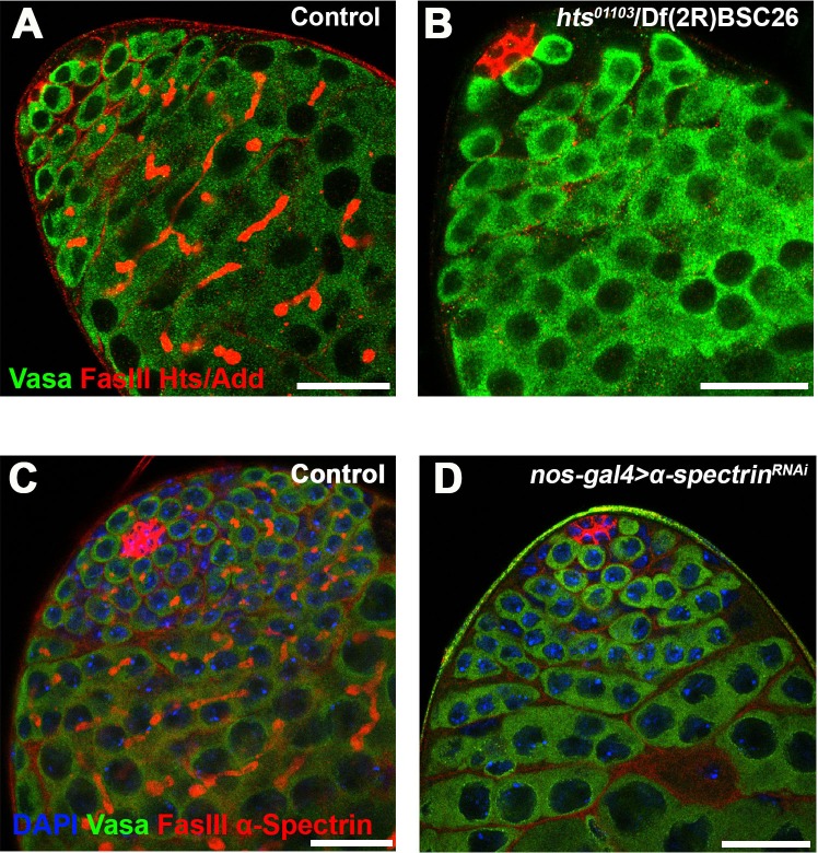 Figure 3—figure supplement 1.