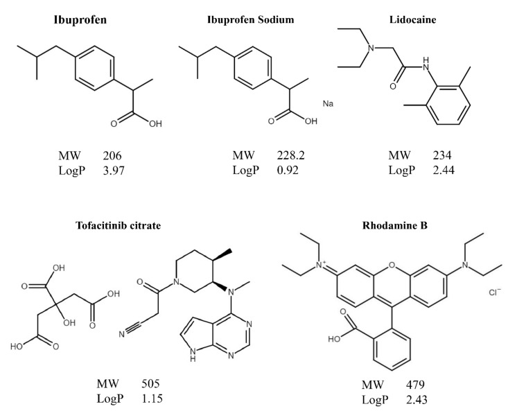 Figure 1