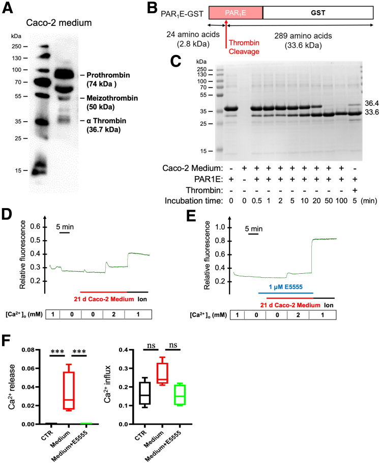 Figure 11