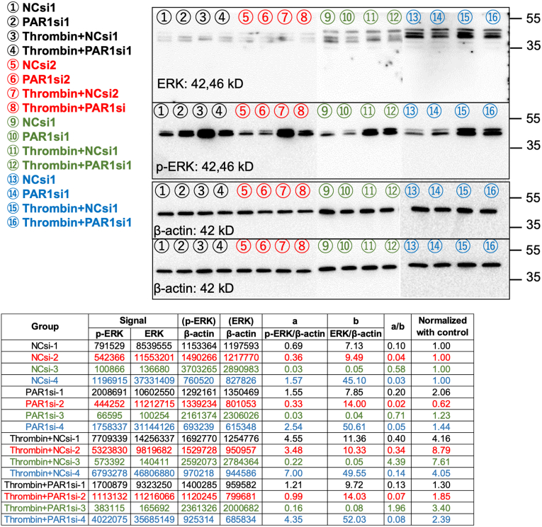 Figure 13