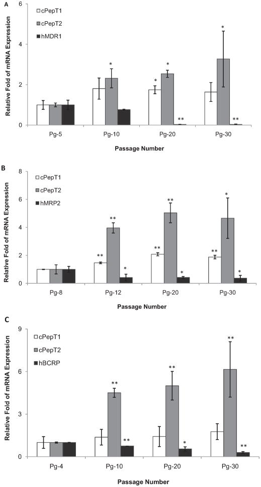 Fig. 8