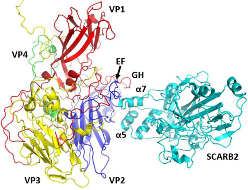 Fig. 3