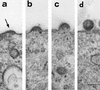 FIG. 5