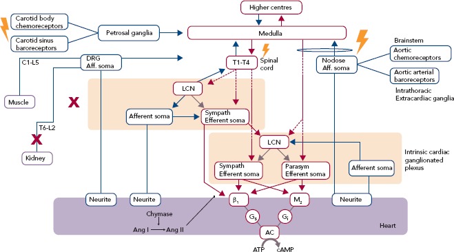 Figure 2: