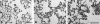 <b>Figure 2.</b>