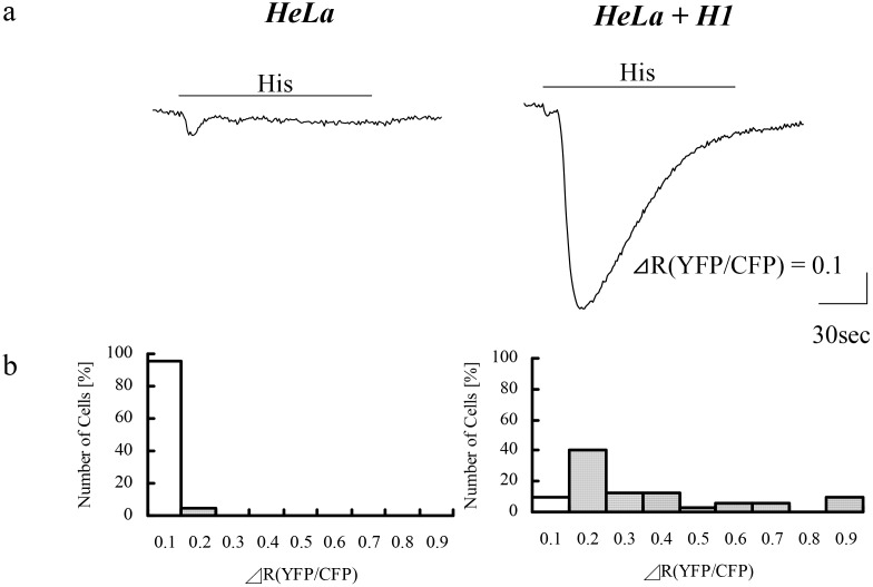 Fig 7