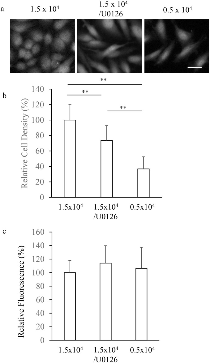 Fig 5