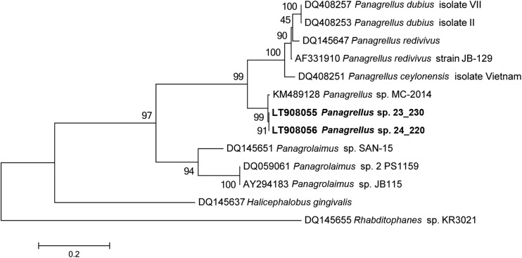 Fig. 6