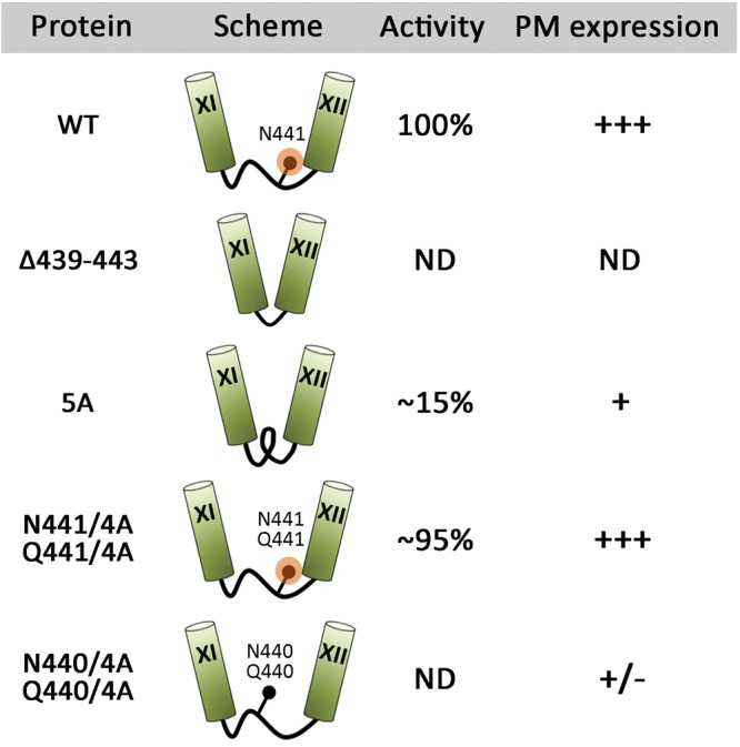 Figure 7.