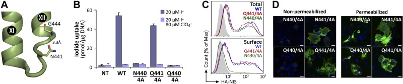 Figure 5.