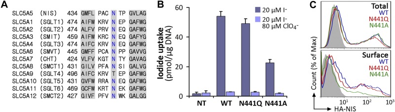 Figure 6.