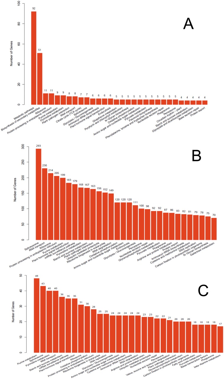 Fig 7