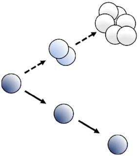 graphic file with name fuac030fig1c.jpg