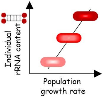 graphic file with name fuac030fig1j.jpg