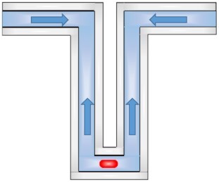 graphic file with name fuac030fig1h.jpg