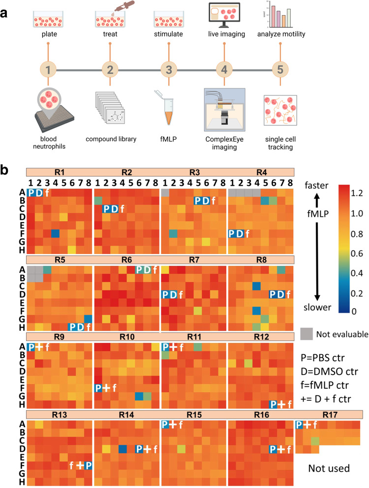 Fig. 4