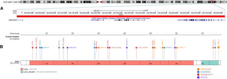 Figure 1