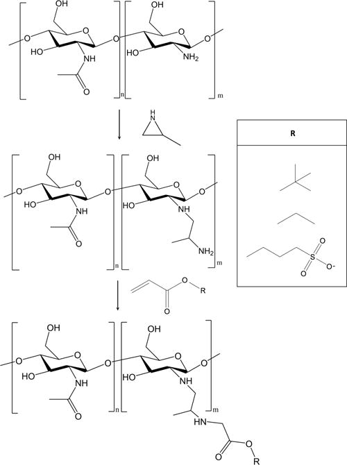 Scheme 1