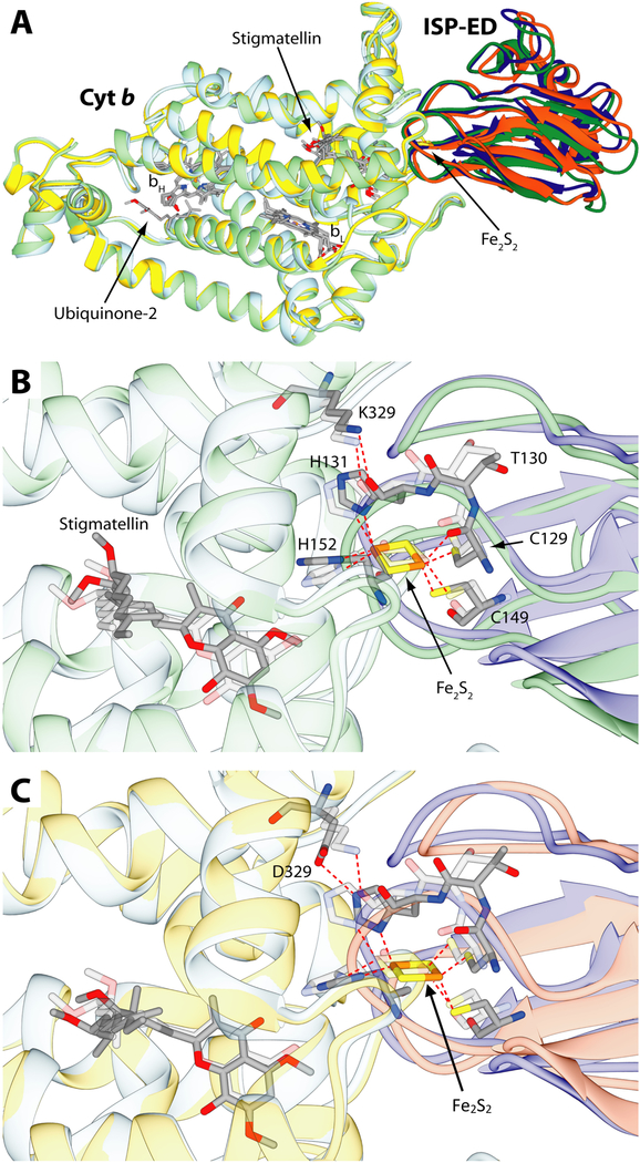 Figure 10.