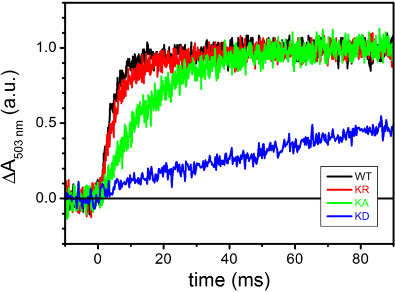 Figure 5.