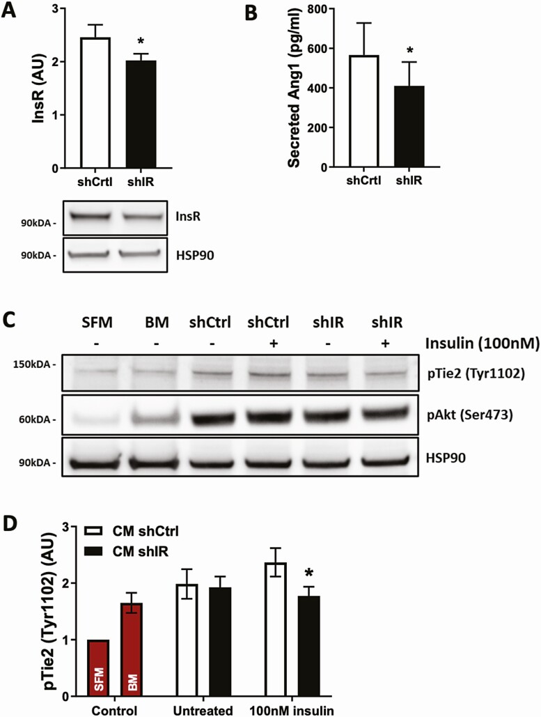 Figure 11.