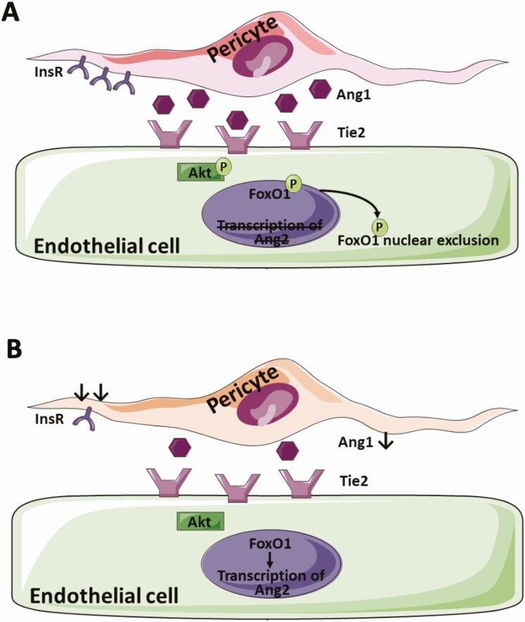 Figure 12.