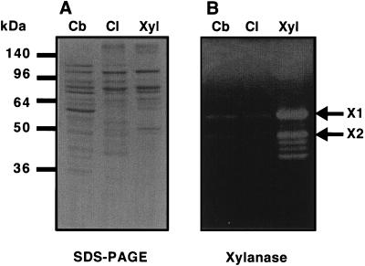 FIG. 6