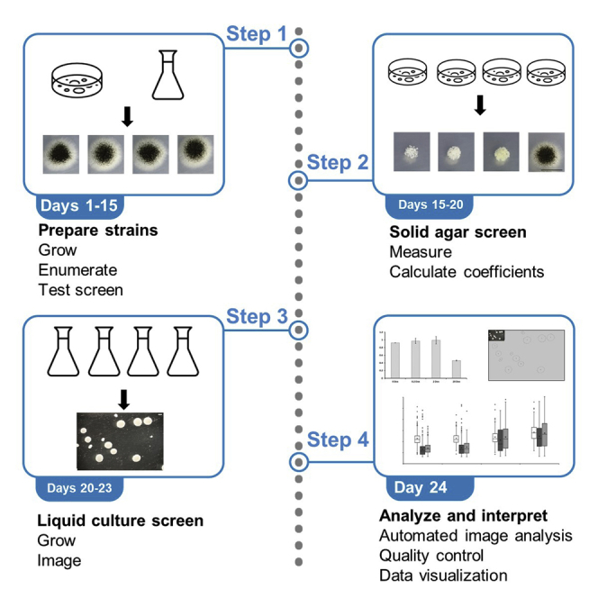 graphic file with name fx1.jpg