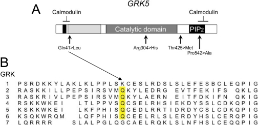 Fig. 11.