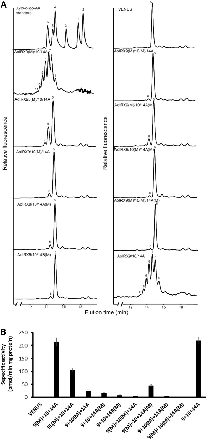 Figure 3.