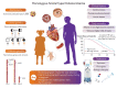 Graphical Abstract