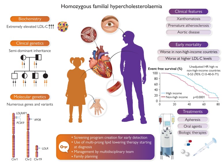 Graphical Abstract