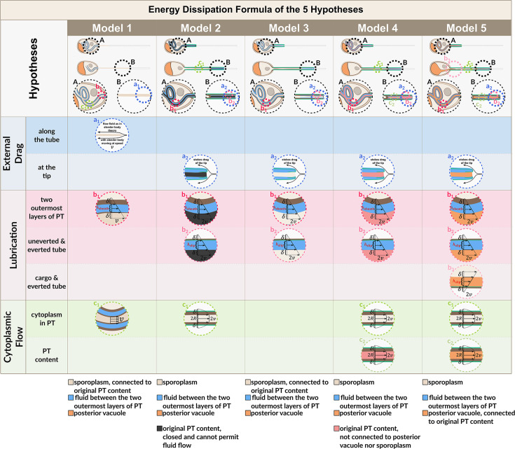 Figure 3—figure supplement 3.