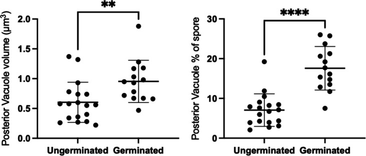 Figure 2—figure supplement 1.