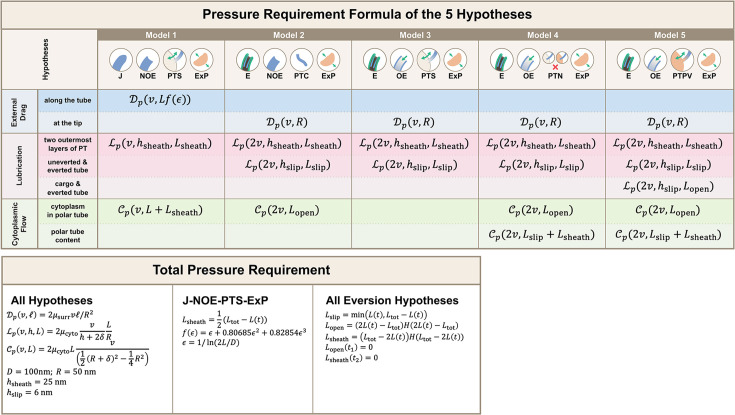 Figure 3—figure supplement 2.