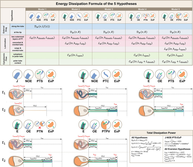 Figure 3—figure supplement 1.