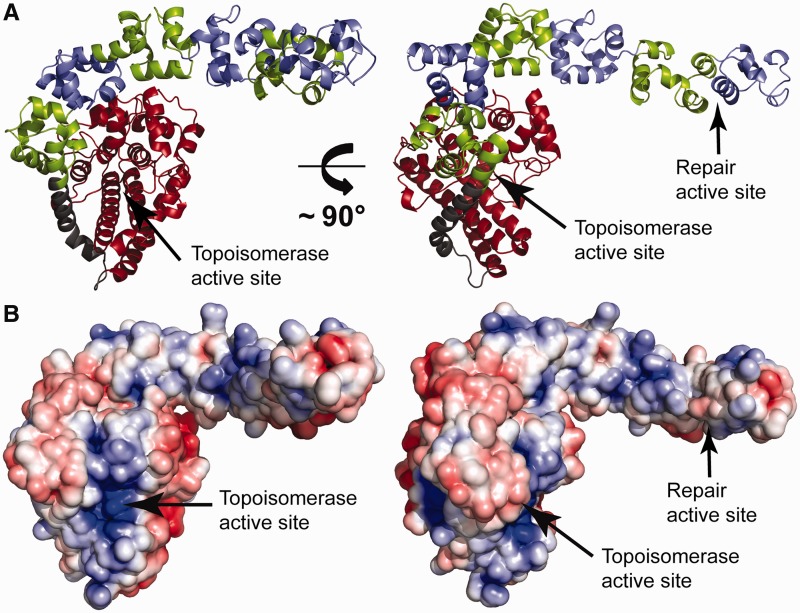 Figure 3.