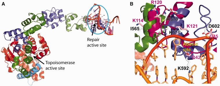 Figure 5.