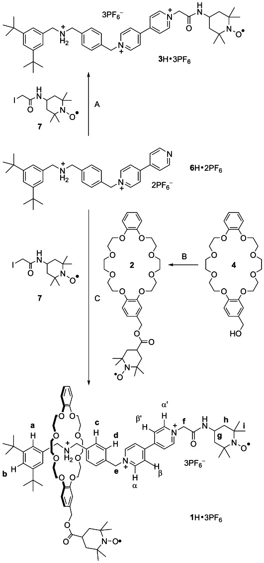 Scheme 1